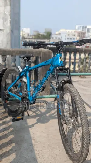 Bicycle For Sale
