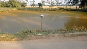 ৩ রাস্তার মোড়ে দোকানের সাথে পুকুর বিক্রয় হবে কমার্শিয়াল এরিয়া।