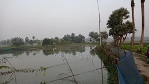 Pond for sale with shop at 3-way intersection in commercial area.