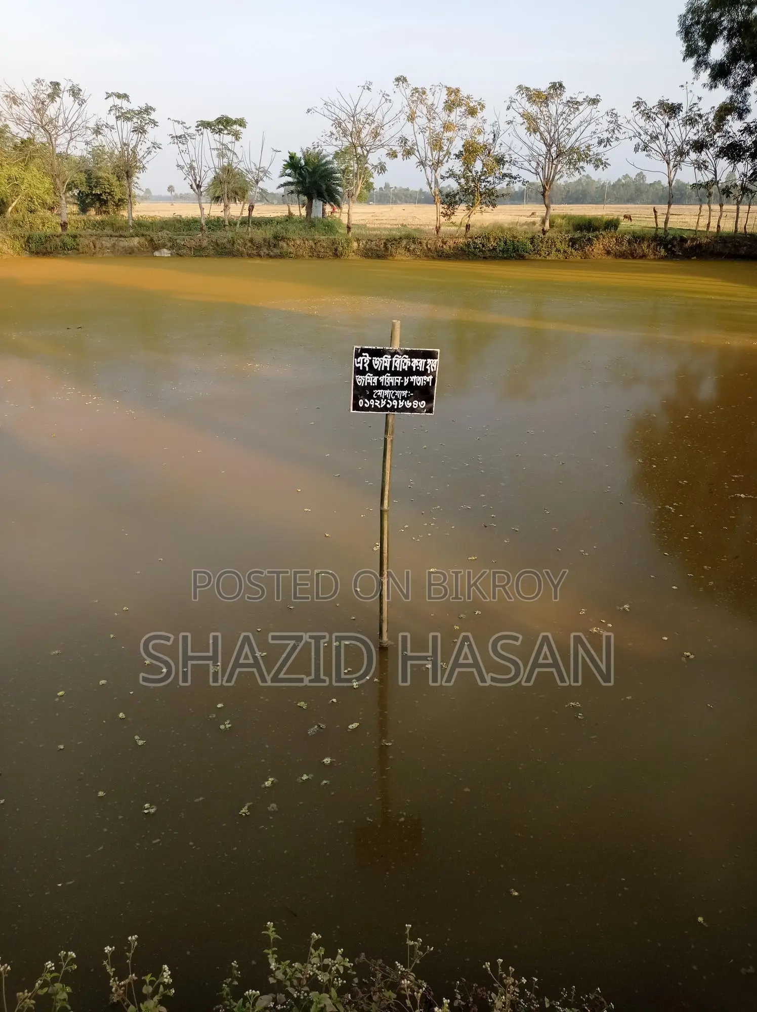 Pond for sale with shop at 3-way intersection in commercial area.