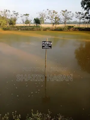 Pond for sale with shop at 3-way intersection in commercial area.