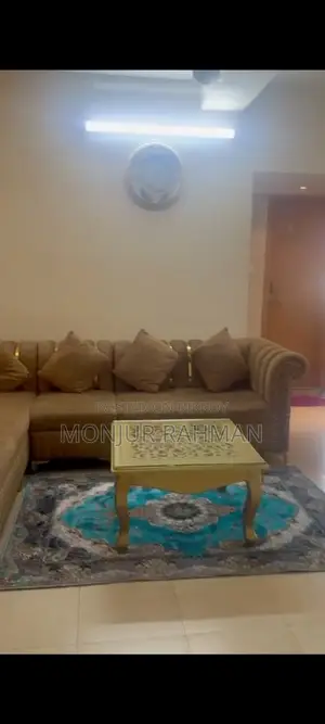 অল্প কিছুদিন ব্যবহারকৃত ডিভাইন সোফা