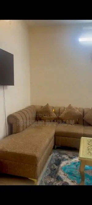 অল্প কিছুদিন ব্যবহারকৃত ডিভাইন সোফা