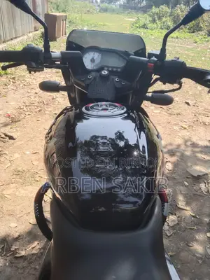 Bajaj Pulsar 150 . 2019