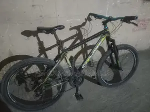Bicycle For Sell