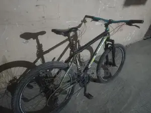 Bicycle For Sell