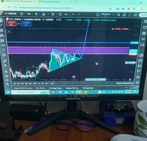 Monitor for Sale
