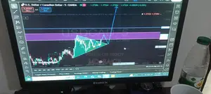Monitor for Sale