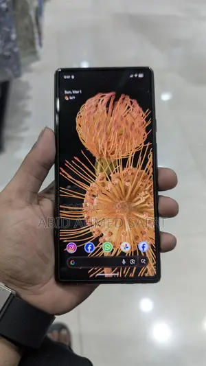 Google Pixel 6 Pro (ব্যবহৃত)