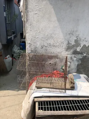 একটা খাচা