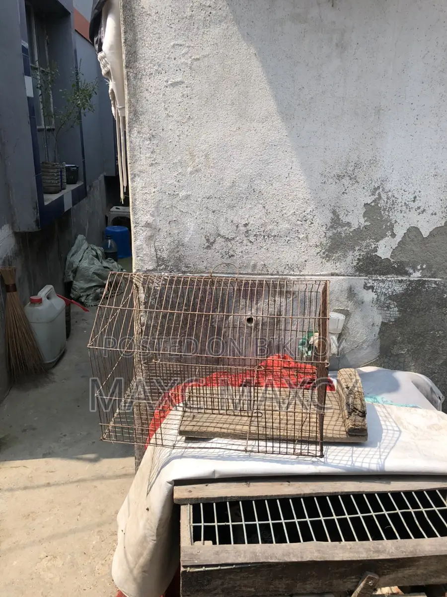 একটা খাচা