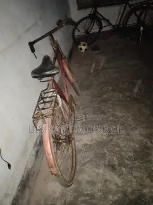 Running Bicycle for Sale