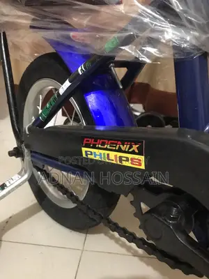 Selling PHONIX Brand Bicycle