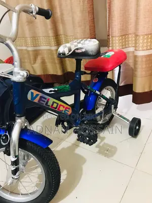 Selling PHONIX Brand Bicycle