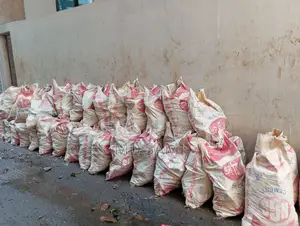 রাবিশ