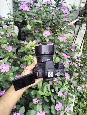 200D+50mm STM, Full Fresh Like New