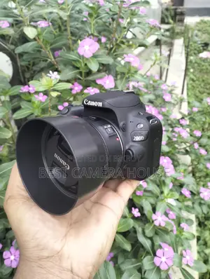 200D+50mm STM, Full Fresh Like New