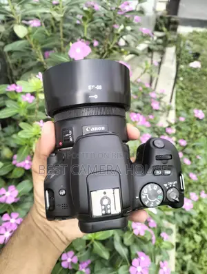 200D+50mm STM, Full Fresh Like New