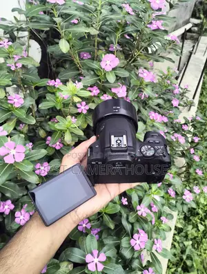 200D+50mm STM, Full Fresh Like New