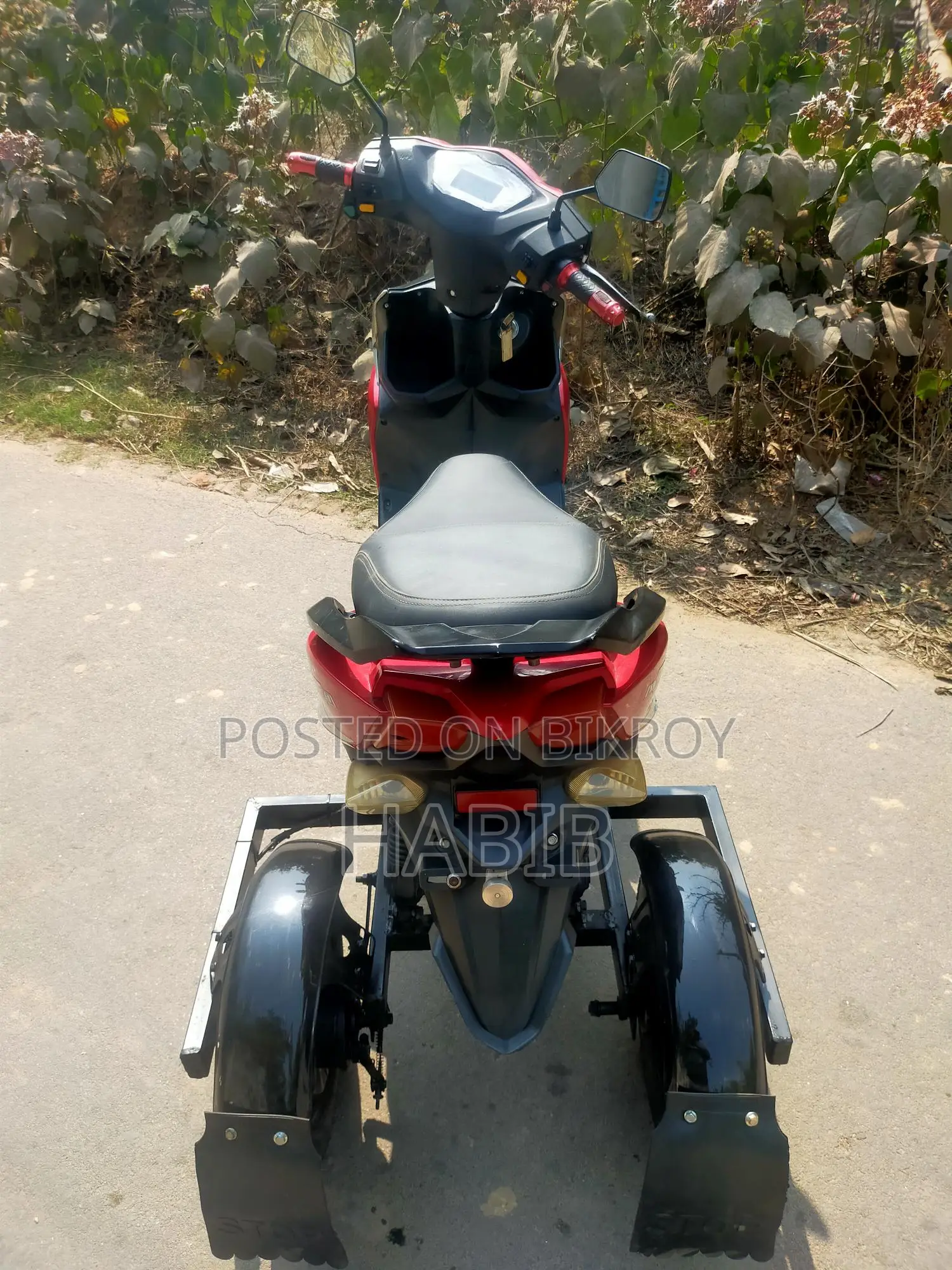 Three-Wheeler E-Bike 2024