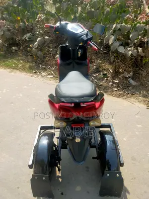 Three-Wheeler E-Bike 2024