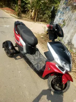Three-Wheeler E-Bike 2024