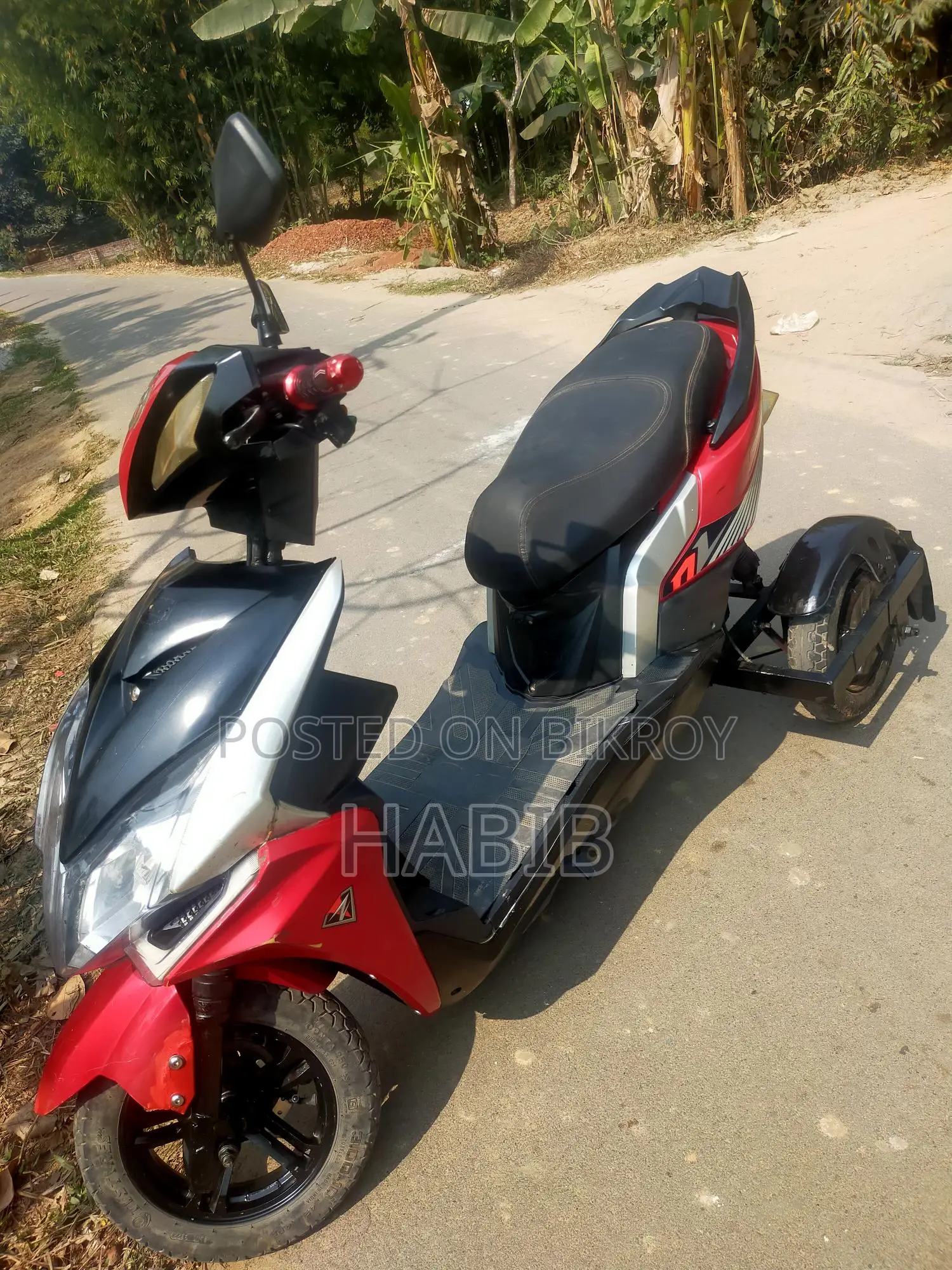 Three-Wheeler E-Bike 2024