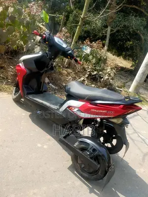 Three-Wheeler E-Bike 2024