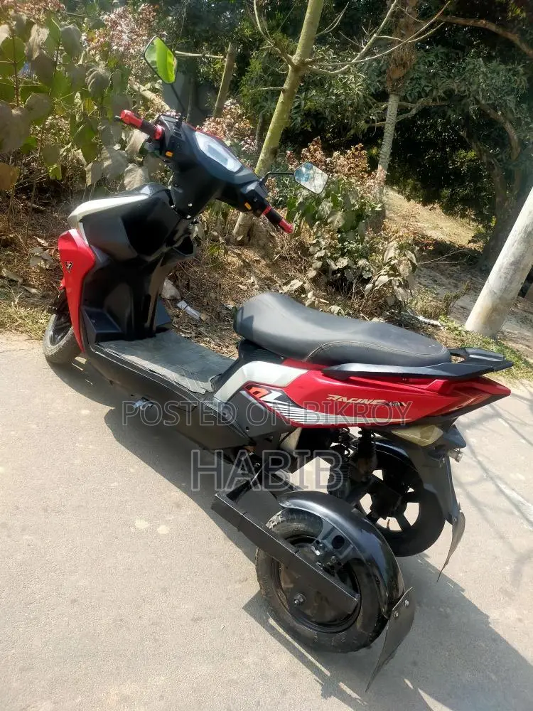 Three-Wheeler E-Bike 2024