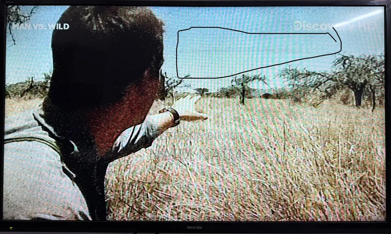 Walton 43" Tv