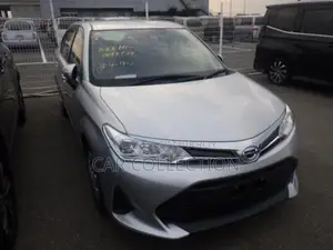 Toyota Axio Ex non hybrid Silver 2021