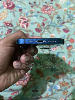 Apple iPhone 12 (Used)