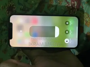 Apple iPhone 12 (Used)