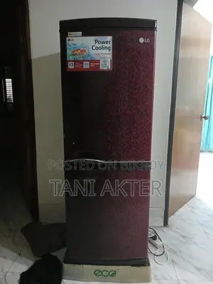 Lg Refrigerator