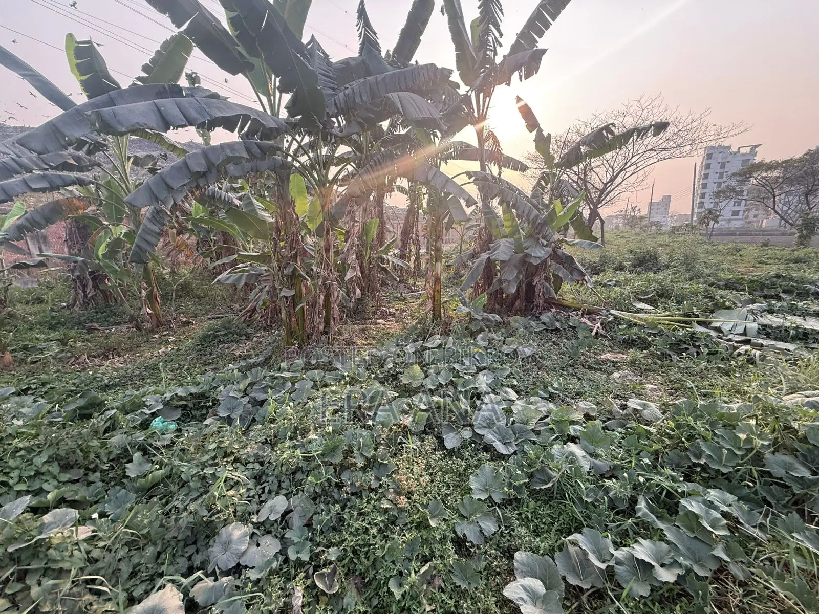 Land for sale