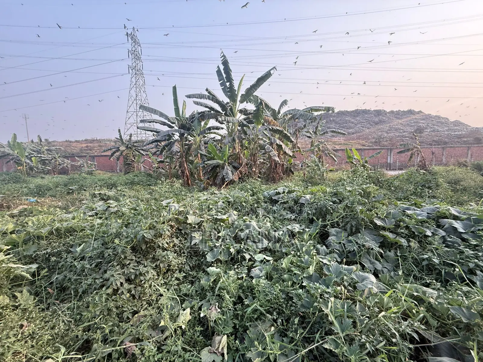Land for sale