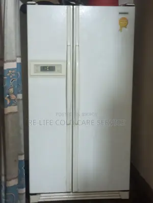 Double Door Fridge