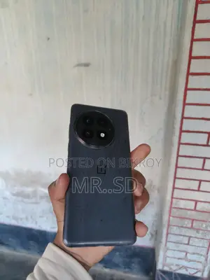 OnePlus 13 (24/1TB) (Used)