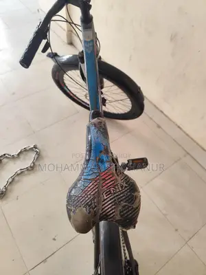 Phoenix Bicycle for Sell 26"