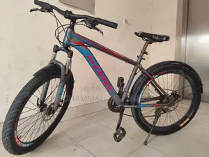 Phoenix Bicycle for Sell 26"