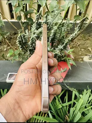 Apple iPhone 16 Pro Max (Used)