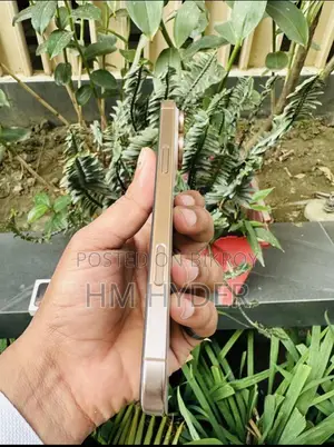 Apple iPhone 16 Pro Max (Used)