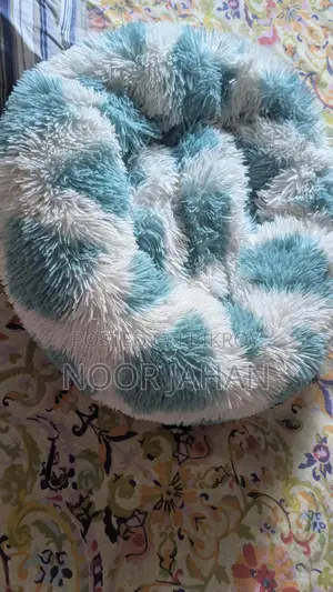 বিড়ালের বিছানা