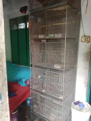 Bird Cage Made of GI Wire For Sale