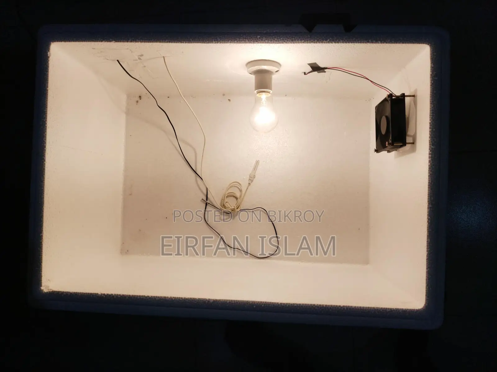 Incubator