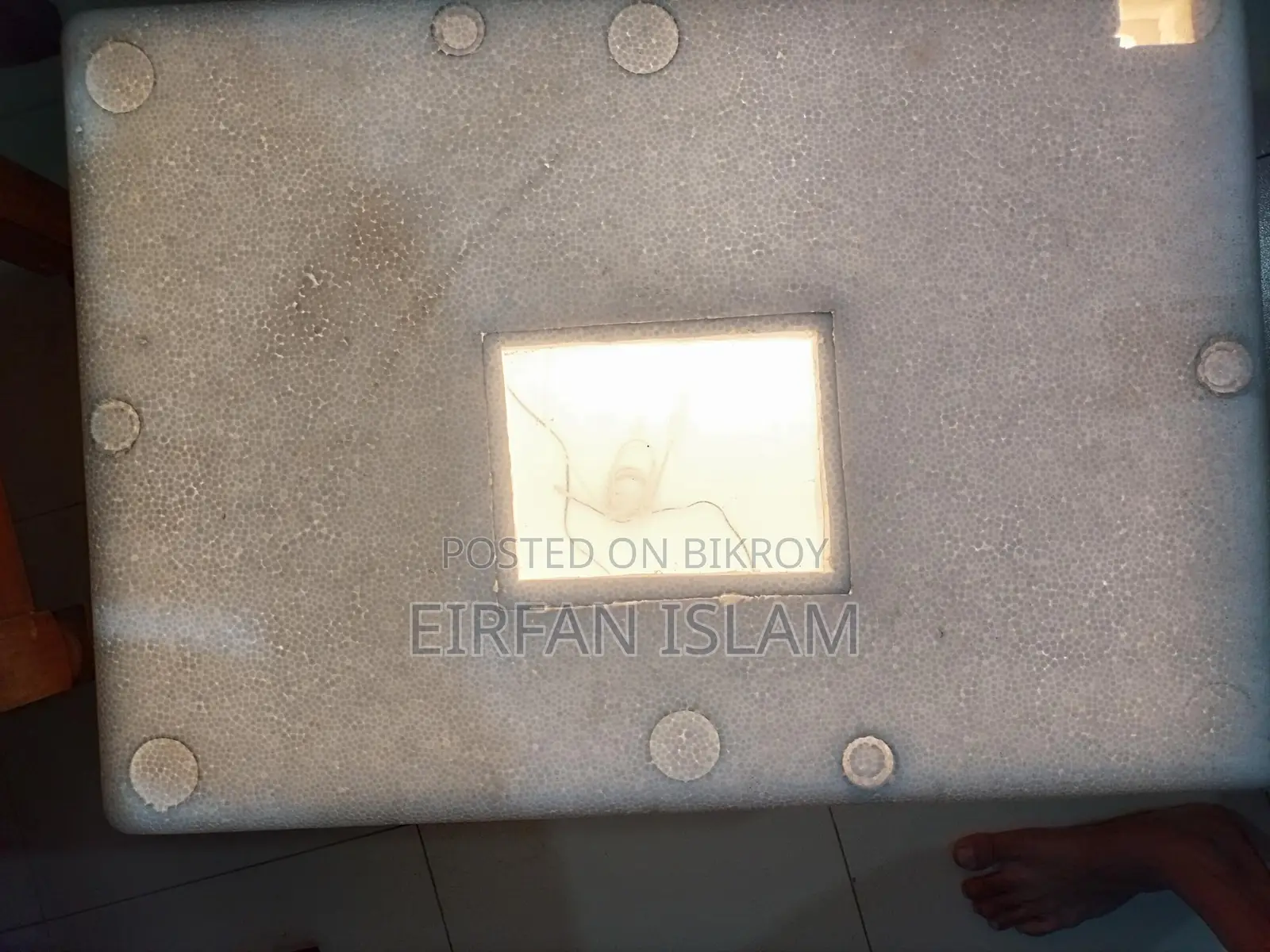 Incubator