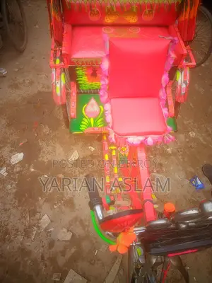 Auto-rickshaw with Battery and Charger (New)