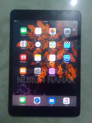 Apple Mini Ipad