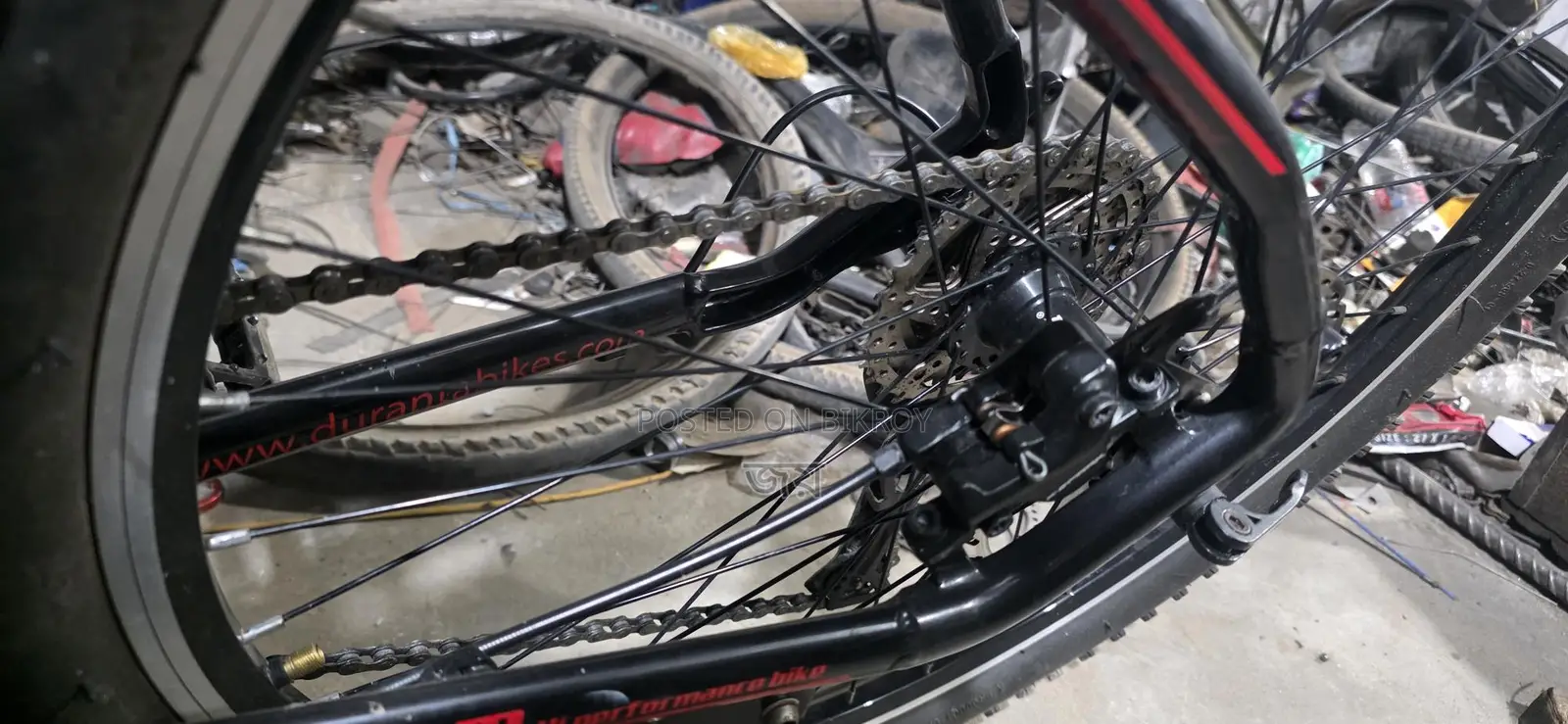 Duranta Extreme Bicycle for Sale