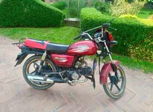 Dayang Runner Other Model . 2017